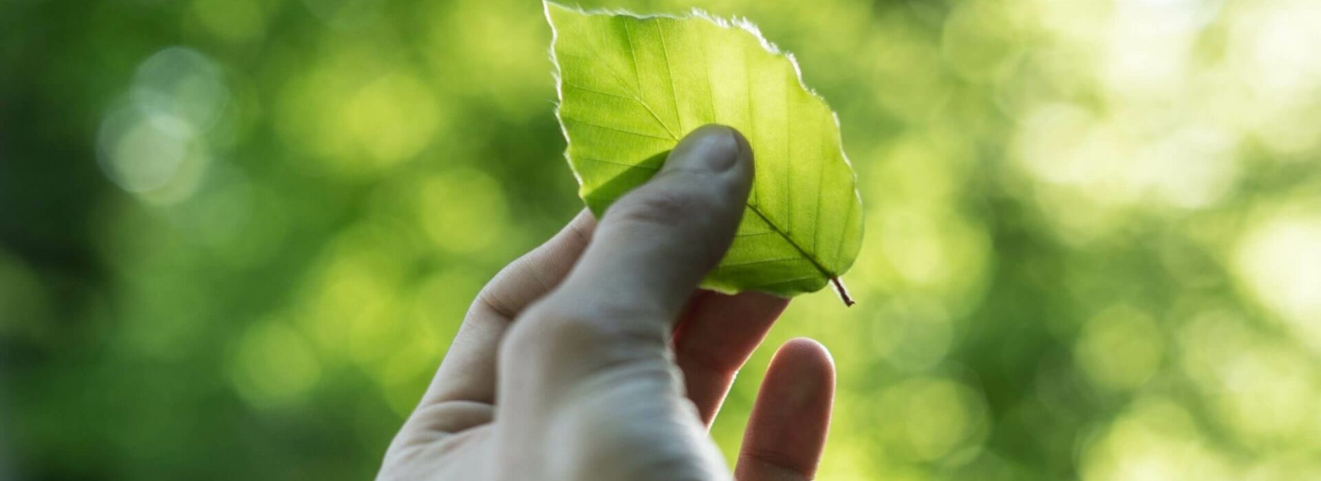 Environmental and Sustainability Management Consulting
